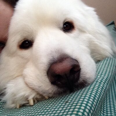 Profile Picture of Seth Hinkle (@seth_hinkle1) on Twitter