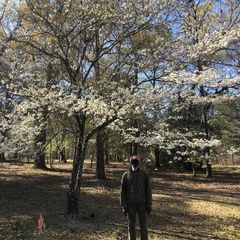 Raymond Brunson - Tiktok Profile Picture of Raymond Brunson (@raymond.brunson) on Tiktok