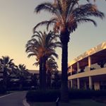 Profile Picture of Sophie Jane Stubbs (@ssophiejane12) on Instagram