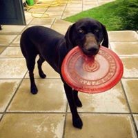 Profile Picture of Iris Fleming (@iris-fleming) on Quora