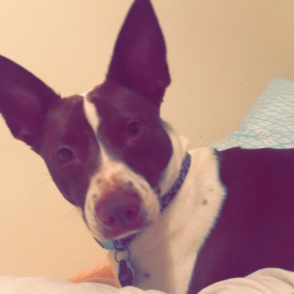 Profile Picture of Kailee Sakers (@ksakers4) on Poshmark