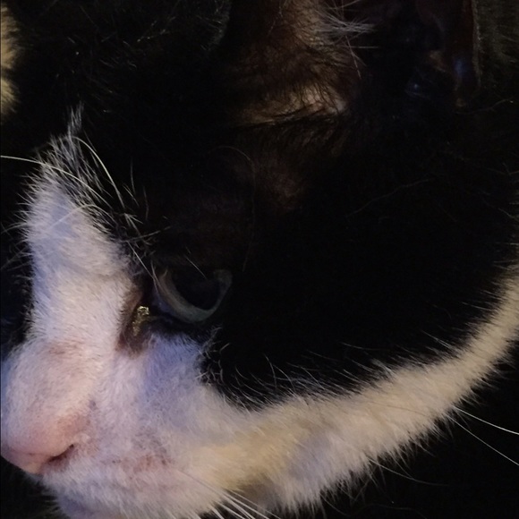 Profile Picture of Lisa Lonnen (@lisalonnen) on Poshmark