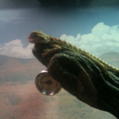 Profile Picture of Justin Hood (@HockJosh) on Twitter