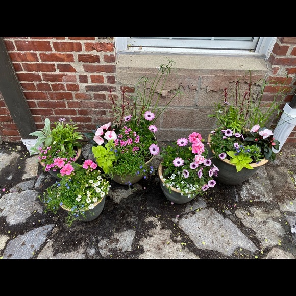 Profile Picture of Priscila De calvache (@calvache) on Poshmark