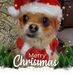 Profile Picture of Naomi Ramirez Morales (Naomi Ramirez Morales) (@naomi.r.morales) on Facebook