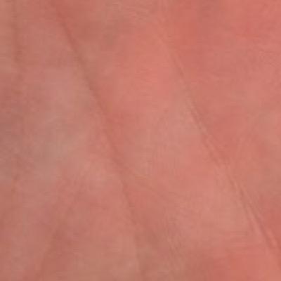 Profile Picture of Zinn (@NickZinna) on Twitter