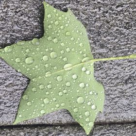 Profile Picture of Christina Mosier (@christinam2088) on Pinterest