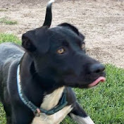 Profile Picture of Jesse Woods (@jessewoods4511) on Youtube