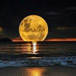 Profile Picture of Hunter (@andrew.holte12) on Instagram