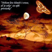 Josip Vincetic - Youtube Profile Picture of Josip Vincetic (@josipvincetic5857) on Youtube