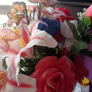 Profile Picture of Lupe Murillo (@LupeMurillo12) on Twitter