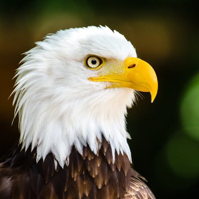 Profile Picture of Patrick Giannetti Jr (@pagjr65) on Twitter