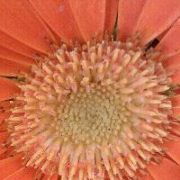 Profile Picture of Sandy Post (@sandypostit) on Pinterest