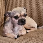 Profile Picture of Esli Martinez (@Esli-Martinez) on Facebook