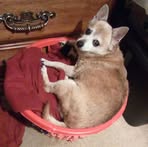 Profile Picture of Lucille Six (@lucille.six.7) on Facebook