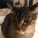 Profile Picture of addison thomas (@addisonthomas931) on Pinterest