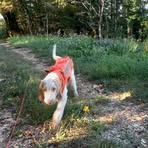 Profile Picture of Jérôme Pelus (@Jérôme-Pelus) on Facebook