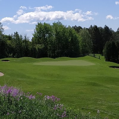 Profile Picture of Slicklewick (@lewicki_brian) on Twitter