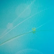 Profile Picture of Larissa Schmidt (@larissaschmidt9111) on Youtube