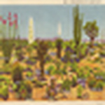 Zack Arnold - Flickr Profile Picture of Zack Arnold (@Tripp L. Seven) on Flickr