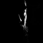 Profile Picture of Vern (@teekasingh) on Instagram