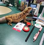 Profile Picture of Crystal Bruce (@crystal.bruce.52) on Facebook