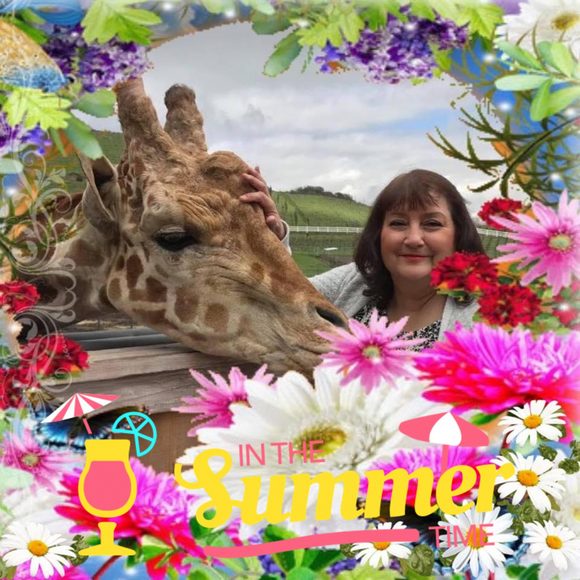 Profile Picture of Rita Bailey (@ritabailey208) on Poshmark