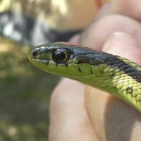 Profile Picture of Logan Bateman (@logan-bateman-6) on Quora