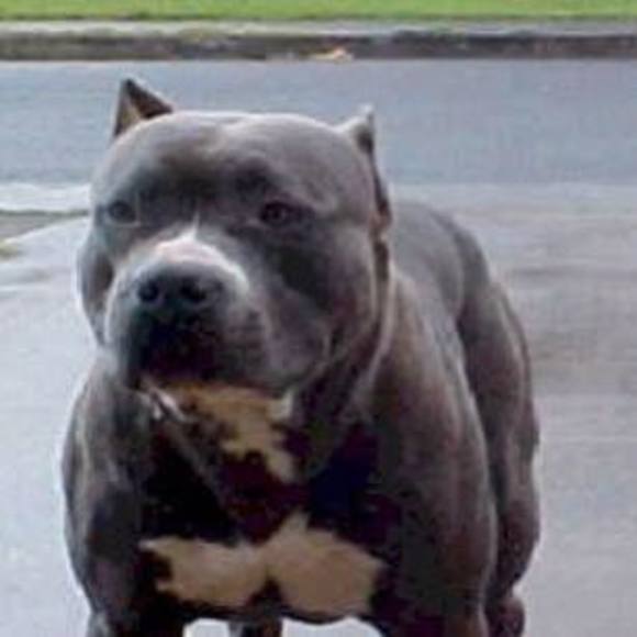 Wesley Conzet - Poshmark Profile Picture of Wesley Conzet (@hdhdhdbbf) on Poshmark