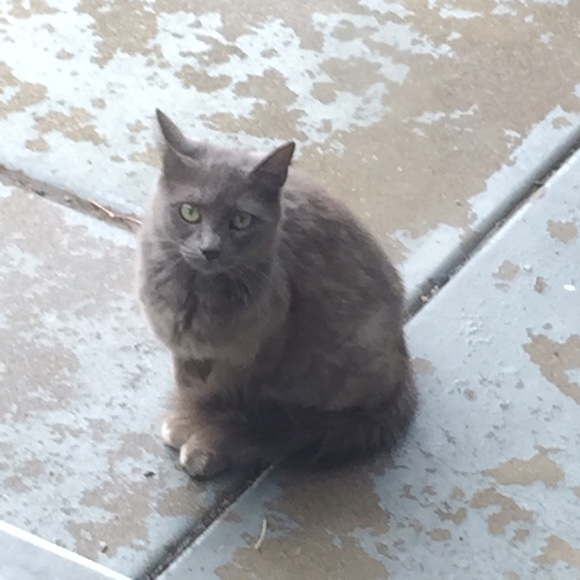 Profile Picture of Bin y an Xue (@xby) on Poshmark