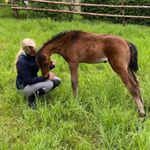 Profile Picture of Lisa Fox (@lisafoxi) on Instagram