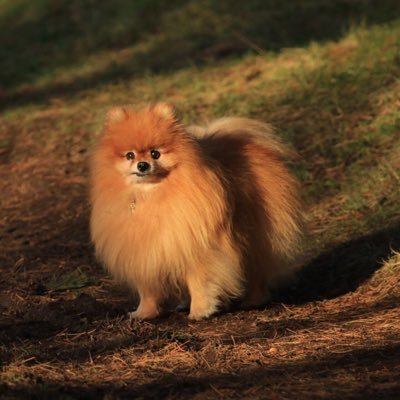 Profile Picture of Lisa Hilton (@LisaHilton3fs) on Twitter