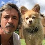 Profile Picture of Peter Caine Fan Club (@petercainestraineddog) on Instagram