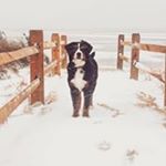 Profile Picture of Jonathan Dillio (@jonathandillio) on Instagram