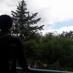 Profile Picture of Kevin Arias (@kevindragoon) on Instagram
