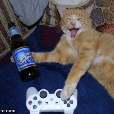 Profile Picture of Richard Lewandowski (@Jj8Richard) on Twitter