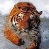 Profile Picture of John Cantor (@@johncantor24) on Tiktok