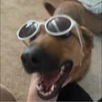 Profile Picture of Nathan Buchmeier (@Nathan-Buchmeier) on Facebook