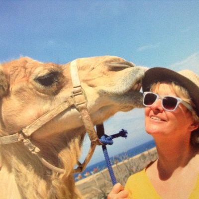 Profile Picture of Penny Jo Berman (@PennyJoBerman) on Twitter