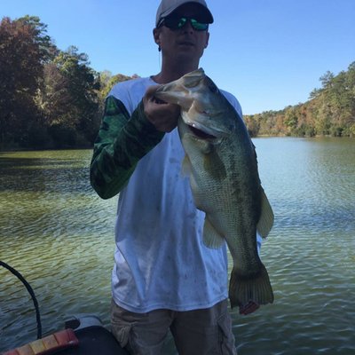 Profile Picture of Dave Nese (@DavidNeese5) on Twitter