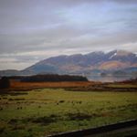 Profile Picture of Tyler Dyson (@ig_tyler_dyson) on Instagram