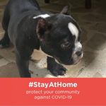 Profile Picture of Jerry Carreon (@jerry.car913) on Instagram