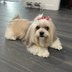 Cassandra Holder - Facebook Profile Picture of Cassandra Holder (@Cassandra-Holder) on Facebook