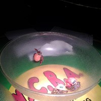 Profile Picture of Mike Magaw (@mike-magaw-1) on Quora