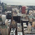 Dan Geller - Instagram Profile Picture of Dan Geller (@dandalam) on Instagram