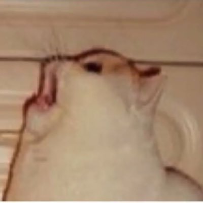 A - Twitter Profile Picture of A (@adadiamond13) on Twitter