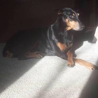 Profile Picture of Bonnie Trapp-meyer (@bonnie-trapp-meyer) on Quora