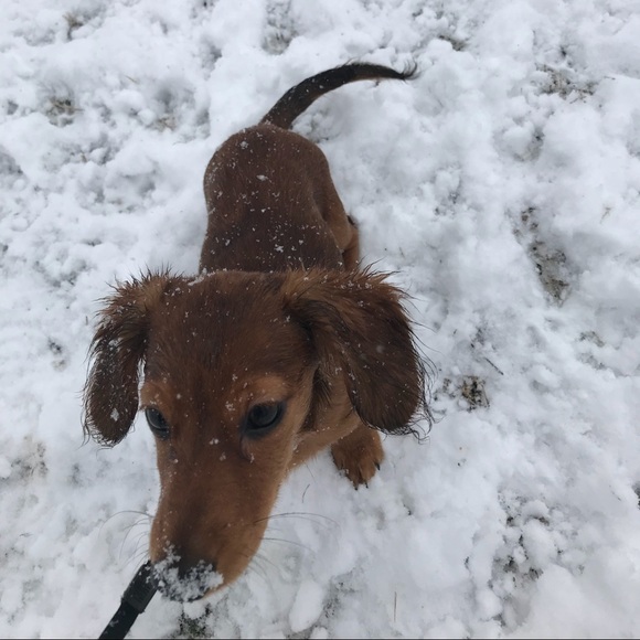 Profile Picture of Sherry Hudson (@shudson4973) on Poshmark