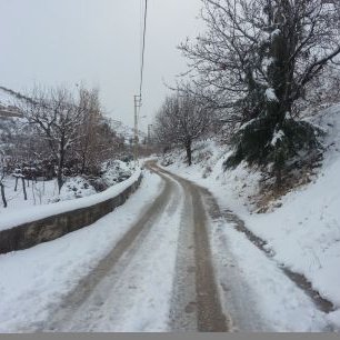 Profile Picture of Hassan Baydoun (@hassanhaydoun95) on Twitter