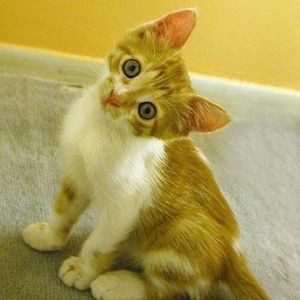 Profile Picture of Jerry Allen (@docsavage98) on Myspace